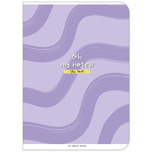 Sąsiuvinis Schoolboy, 48 lapų, langeliais, A5, 70 gsm 3