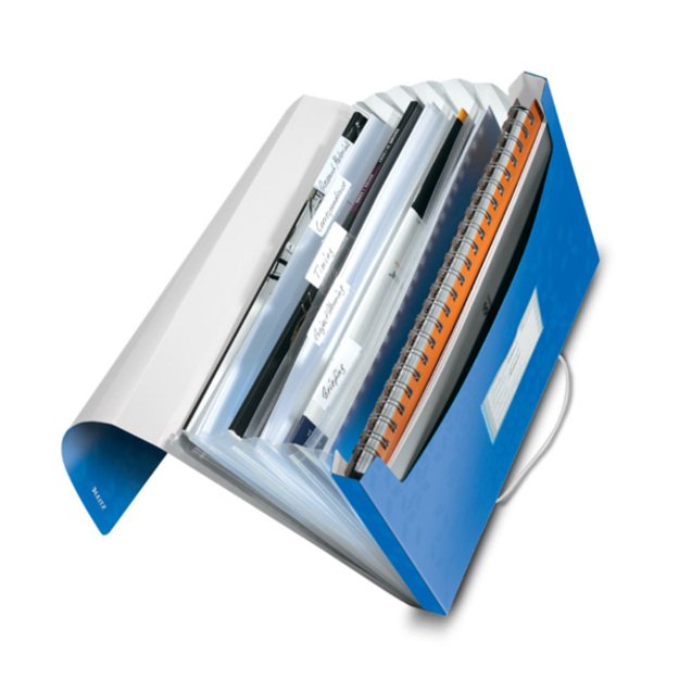 Armonikos tipo dėklas dokumentams LEITZ WOW, PP 1