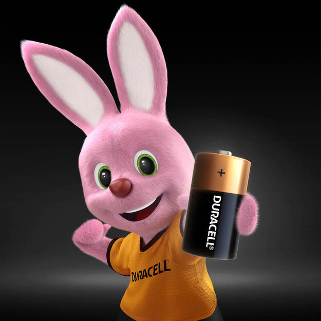 Baterijos DURACELL C, LR14, 2vnt 5