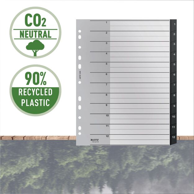 Skiriamieji lapai Leitz Recycle, 1-12, A4 MAXI, PP, juodos salvos 6