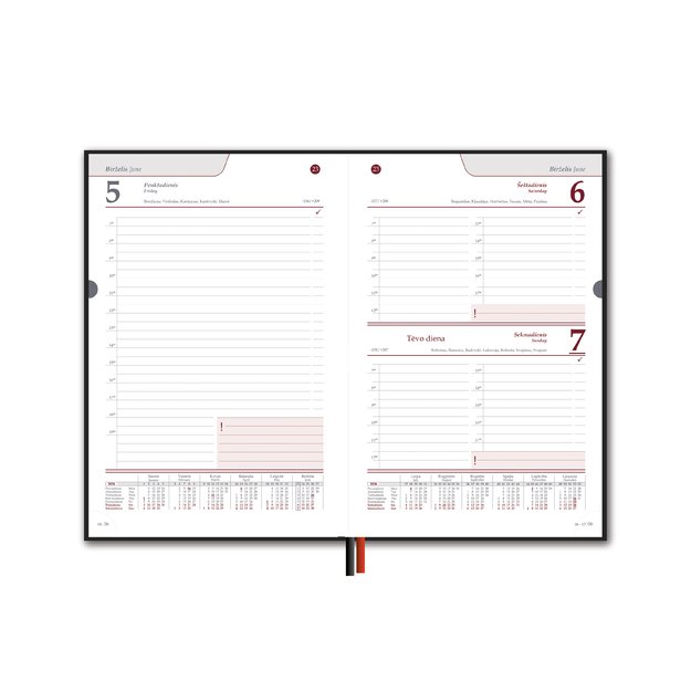 Kalendorius STANDARD 2026, PVC, A5, žalia LT 2