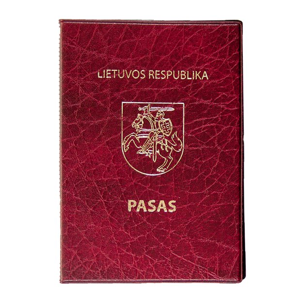 Įdėklas pasui 130 x 185 mm, įvairių spalvų 2