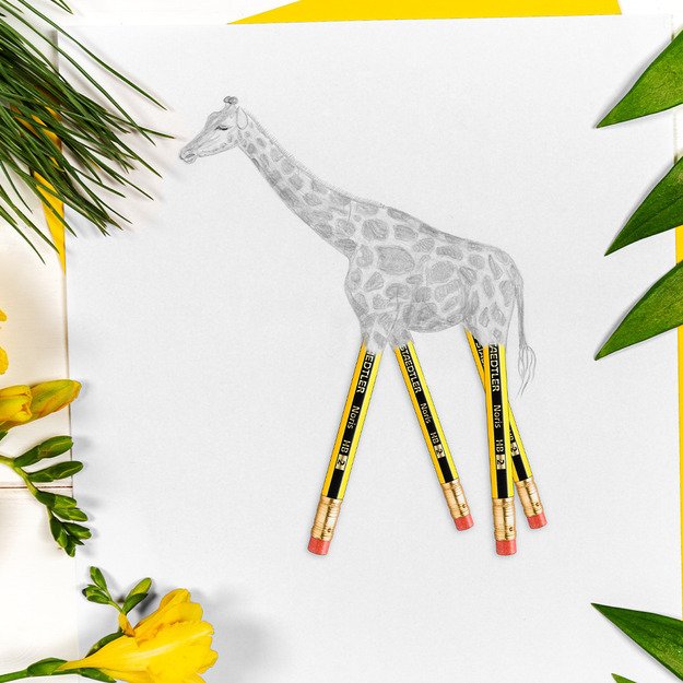 Pieštukas STAEDTLER NORIS 4