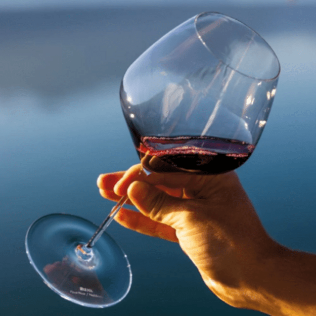 Taurė Riedel VELOCE Pinot Noir/Nebbiolo, kri&scaron;tolas, 763 ml, H 24,7 cm, 6 vnt, 0330/07 4