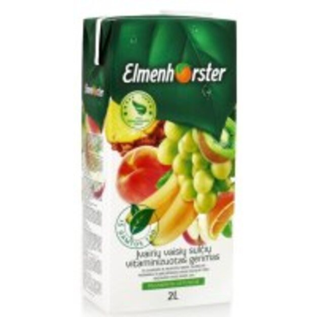 Įvairių vaisių sulčių vitaminizuotas gėrimas ELMENHORSTER, 20%, 2 l 1