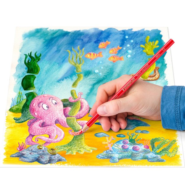 Spalvoti pie&scaron;tukai STAEDTLER NORIS, &scaron;e&scaron;iabriauniai, akvareliniai, 12 vnt. + teptukas 3