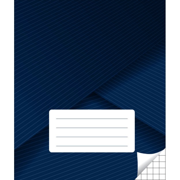 Sąsiuvinis langeliais, 12 lapų. Vidinių lapų gramatūra – 75 g/m2.