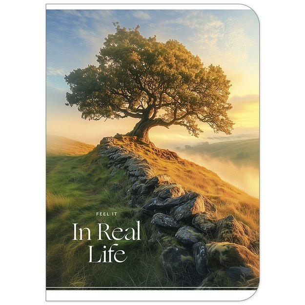 Sąsiuvinis Schoolboy, 48 lapų, langeliais, A5, 70 gsm 1