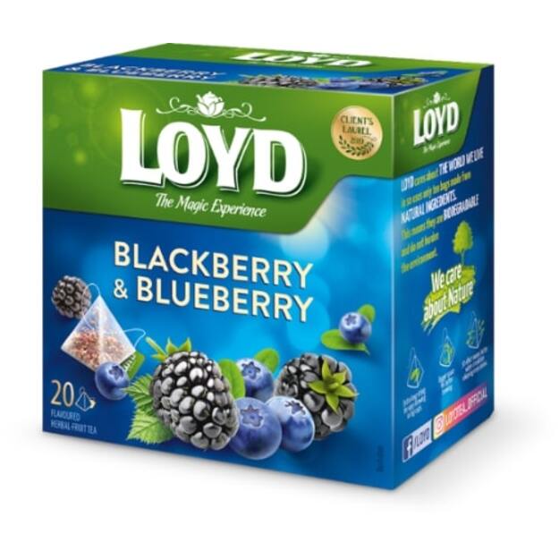 Vaisinė arbata LOYD, gervuogių ir mėlynių skonio, 20 x 2g