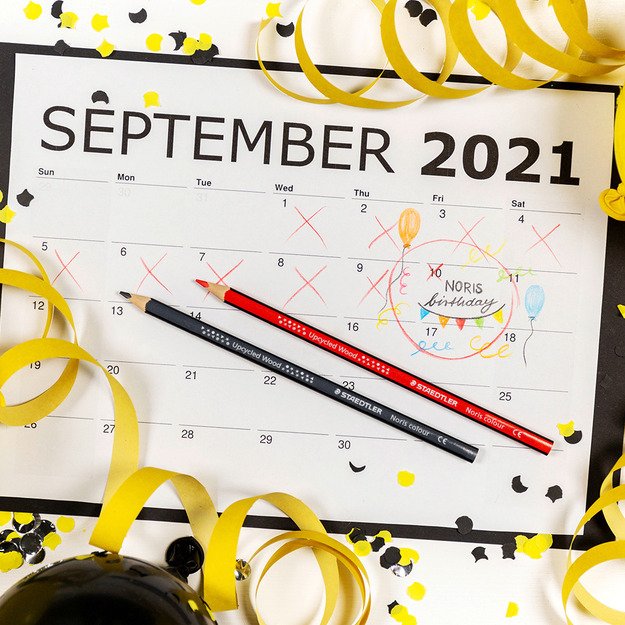 Spalvoti pieštukai STAEDTLER NORIS 12 spalvų 5