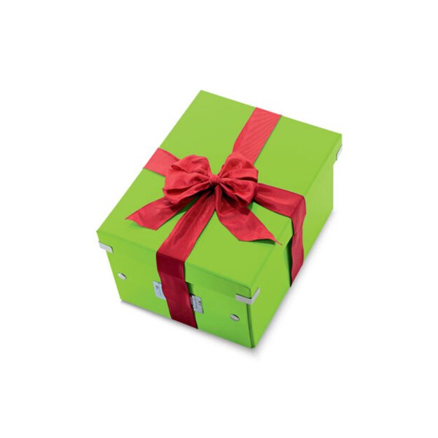 Archyvavimo dėžė LEITZ WOW, sudedama, A4, 200 x 281 x 370 mm, žalia sp. 4