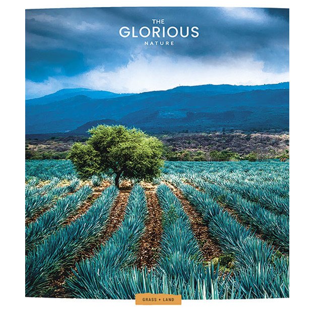 Sąsiuvinis Schoolboy, 96 lapų, langeliais, B5, 60 gsm 2