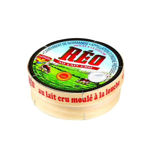 Pelėsinis sūris REO CAMEMBERT, SKVN, 250 g